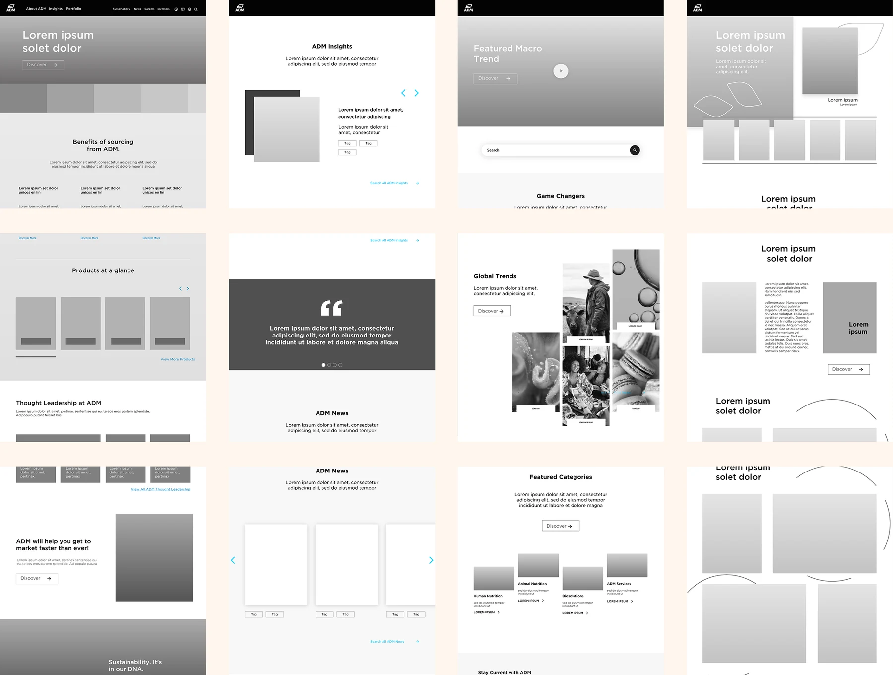 Greyscale wireframes for the page templates, from the home page through insights and products
